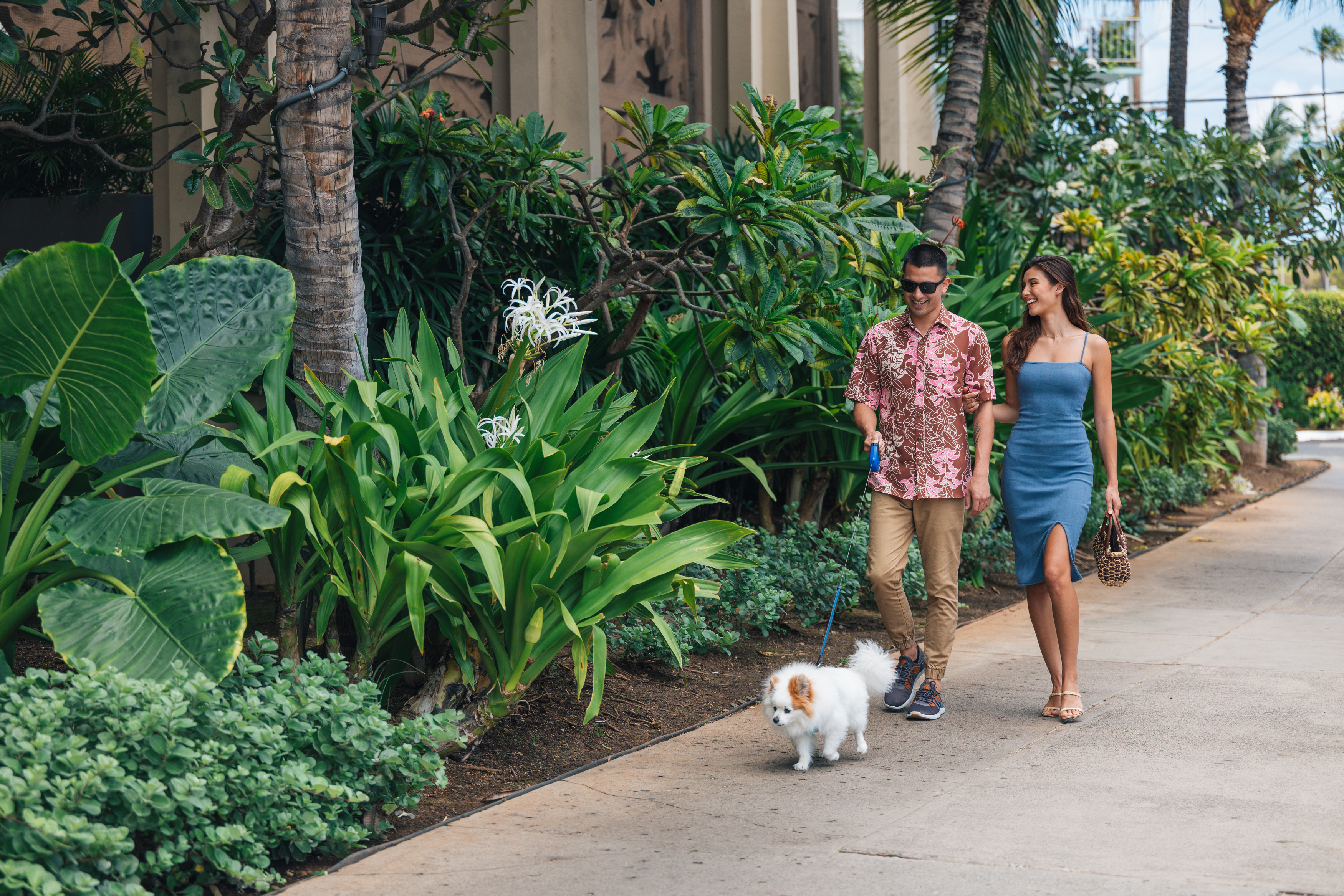 couple with pet on vacation