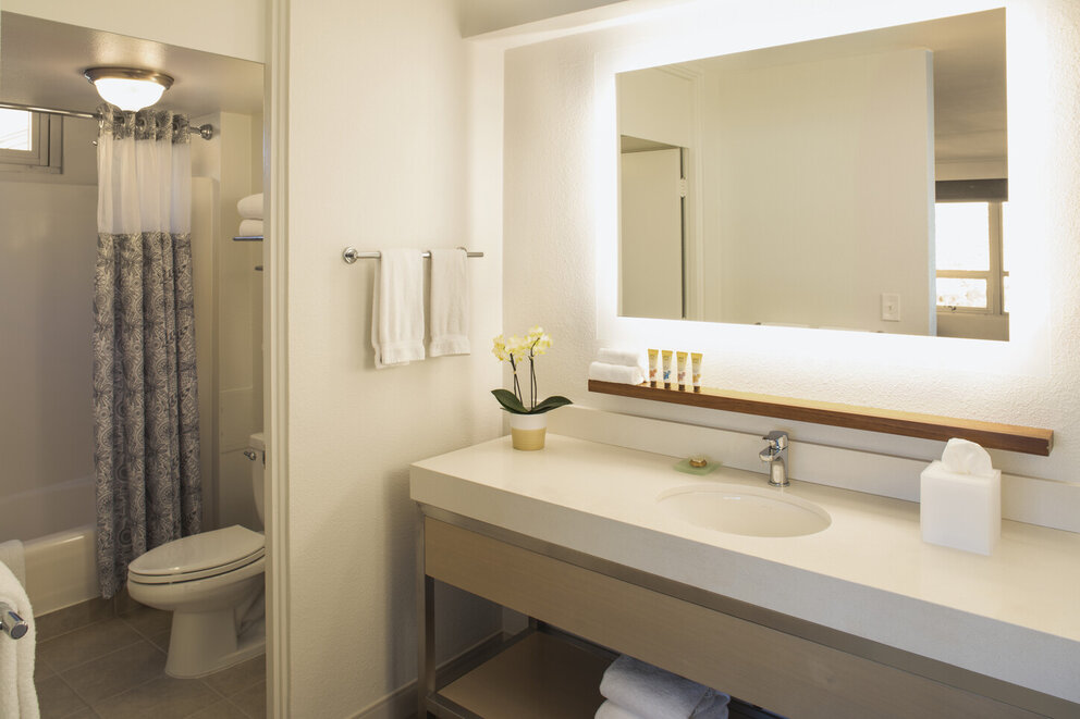 Hotel Bathroom Counter with mirror