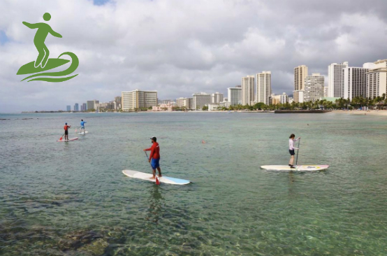 People standing on surfboards enjoying the ocean